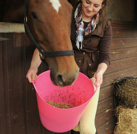 Equine products