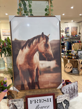 Framed canvas the brumby