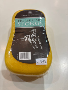 Horse care sponge