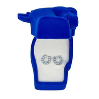 Rhinestone horse shoe earring with horse head gift case