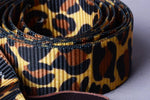 Latigo Fashion Prints 6 Feet Nylon Tie Strap: Aztec