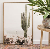 Framed canvas cactus