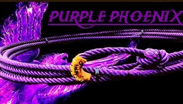 Purple Phoenix 28’