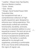 Western horse bridle