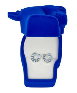 Silver horse shoe earring with gift case