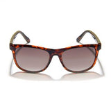 Fender Gidgee eyewear