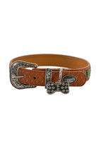 Reece dog collar Forrest